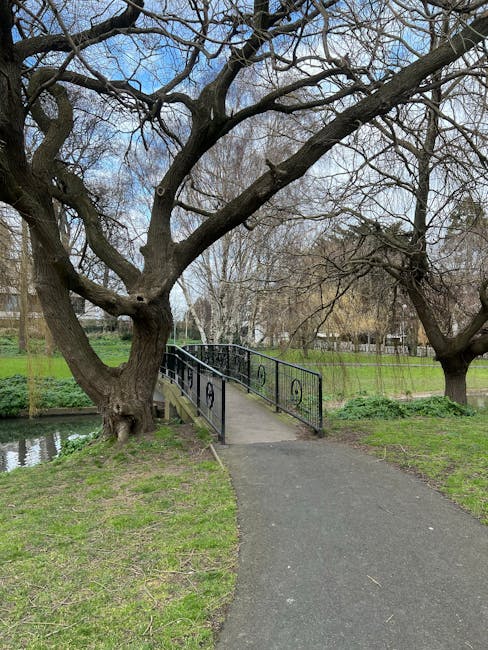 A paved footpath extends from the foreground towards a small, black metal bridge with decorative scrollwork on the railings, leading across a narrow, calm waterway. On the left side of the scene, a large deciduous tree with a thick, textured trunk and sprawling, leafless branches dominates the space, with its roots visible at the base near the grass. To the right of the path, there is a grassy area with a few smaller trees, also without leaves, suggesting late autumn or winter. The background shows additional trees lining the waterway, a stretch of green grass, and faint outlines of residential buildings behind the trees. The sky is partly cloudy with patches of blue visible, and the overall scene conveys a quiet park-like setting suitable for a local walk or outdoor relaxation, with natural elements and accessible pathways highlighted for easy movement.